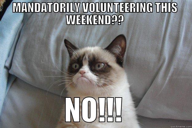 MANDATORILY VOLUNTEERING THIS WEEKEND?? NO!!! Grumpy Cat