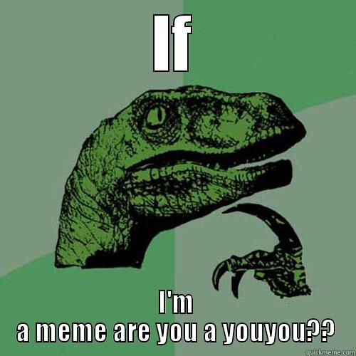 IF I'M A MEME ARE YOU A YOUYOU?? Philosoraptor