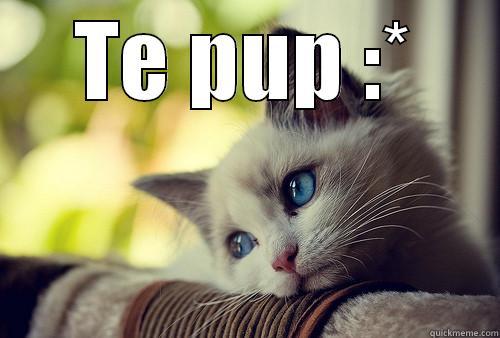 Te pupa Esty :* - TE PUP :*  First World Problems Cat