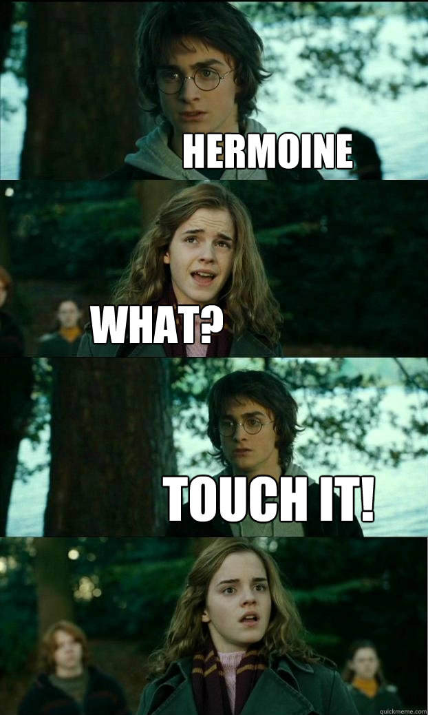 hermoine what? touch it!  Horny Harry