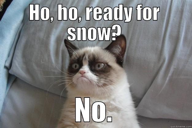 HO, HO, READY FOR SNOW? NO. Grumpy Cat