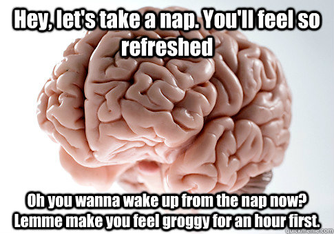 Hey, let's take a nap. You'll feel so refreshed Oh you wanna wake up from the nap now? Lemme make you feel groggy for an hour first. - Hey, let's take a nap. You'll feel so refreshed Oh you wanna wake up from the nap now? Lemme make you feel groggy for an hour first.  Scumbag Brain