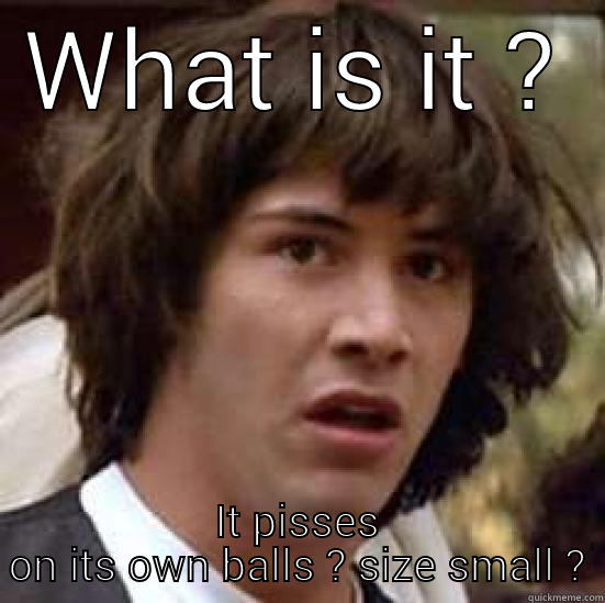 WHAT IS IT ? IT PISSES ON ITS OWN BALLS ? SIZE SMALL ? conspiracy keanu