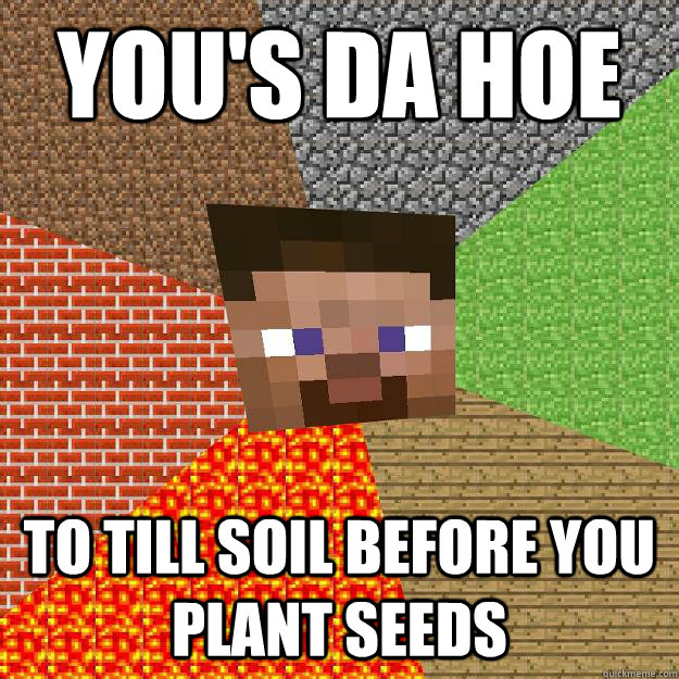 you's da hoe to till soil before you plant seeds  Minecraft