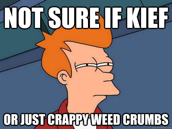 Not sure if kief Or just crappy weed crumbs  Futurama Fry