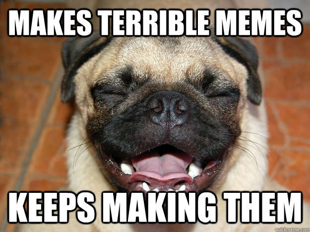 makes terrible memes keeps making them  Persistent Pug