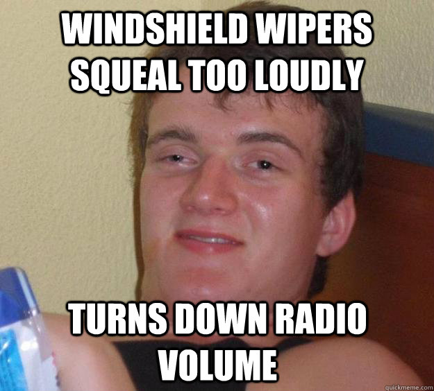 Windshield wipers Squeal too loudly turns down radio volume  10 Guy