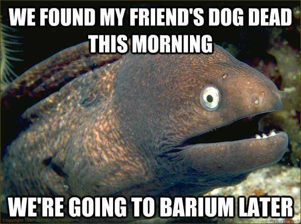 We found my friend's dog dead this morning We're going to barium later  Bad Joke Eel