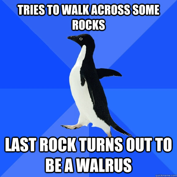 Tries to walk across some rocks Last rock turns out to be a walrus - Tries to walk across some rocks Last rock turns out to be a walrus  Socially Awkward Penguin