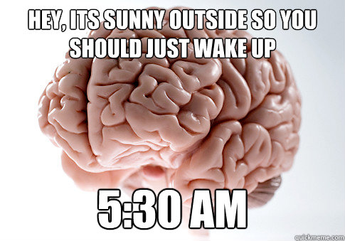 Hey, its sunny outside so you should just wake up 5:30 AM  Scumbag Brain