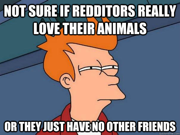 Not sure if Redditors really love their animals Or they just have no other friends - Not sure if Redditors really love their animals Or they just have no other friends  Futurama Fry