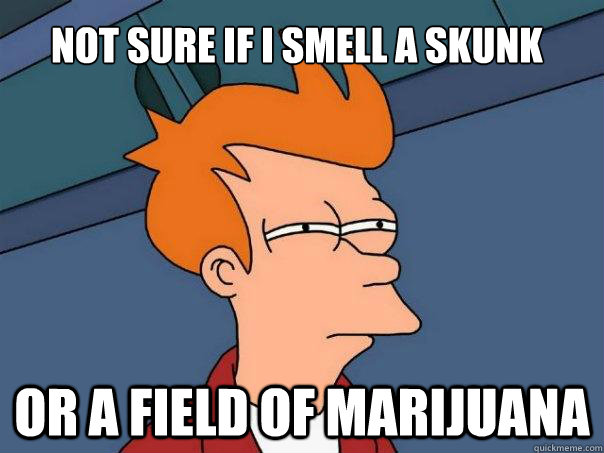 Not sure if I smell a skunk Or a field of marijuana  Futurama Fry