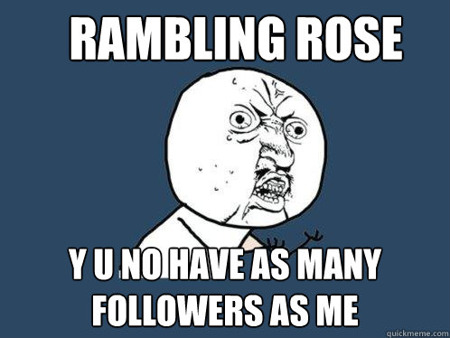 Rambling Rose y u no have as many followers as me  Y U No