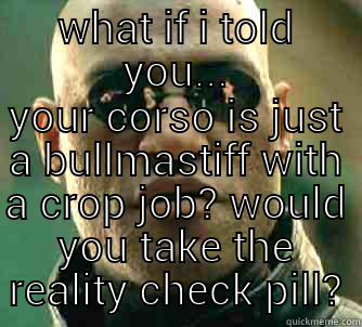 WHAT IF I TOLD YOU... YOUR CORSO IS JUST A BULLMASTIFF WITH A CROP JOB? WOULD YOU TAKE THE REALITY CHECK PILL? Matrix Morpheus