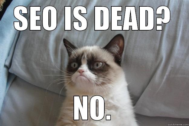 SEO IS DEAD? NO. Grumpy Cat