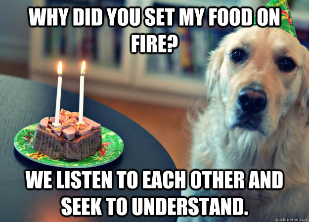 why did you set my food on fire? we listen to each other and seek to understand.  Sad Birthday Dog