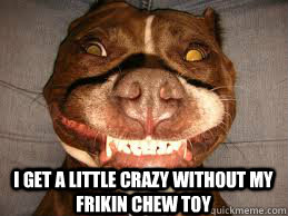 I get a little crazy without my frikin chew toy - I get a little crazy without my frikin chew toy  Dogs need toyz