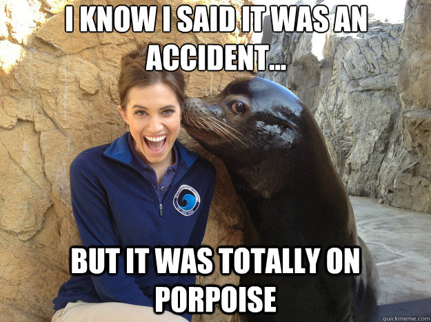 I know I said it was an accident... But it was totally on porpoise - I know I said it was an accident... But it was totally on porpoise  Crazy Secret