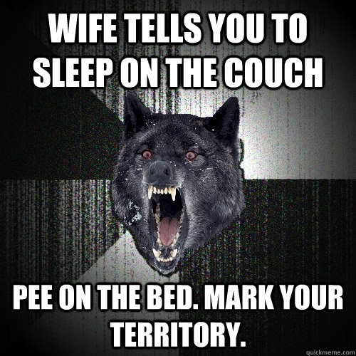 Wife tells you to sleep on the couch Pee on the bed. mark your territory.  Insanity Wolf