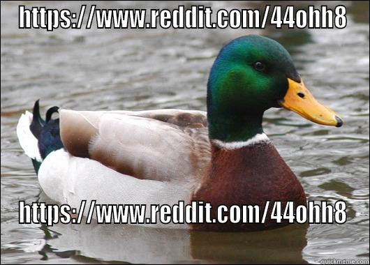 HTTPS://WWW.REDDIT.COM/44OHH8 HTTPS://WWW.REDDIT.COM/44OHH8 Actual Advice Mallard