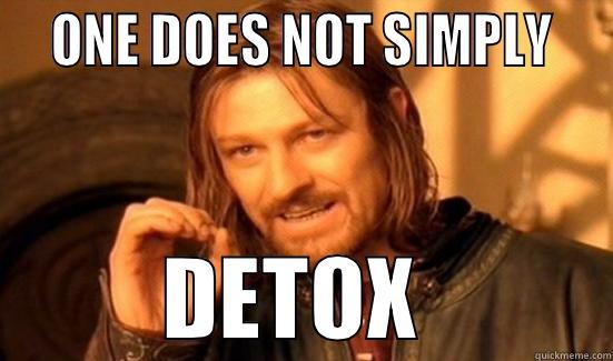 one does not simply detox -   ONE DOES NOT SIMPLY             DETOX           Boromir