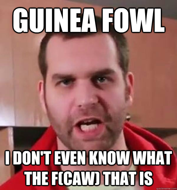 Guinea Fowl I don't even know what the f(caw) that is - Guinea Fowl I don't even know what the f(caw) that is  Epic Meal Time