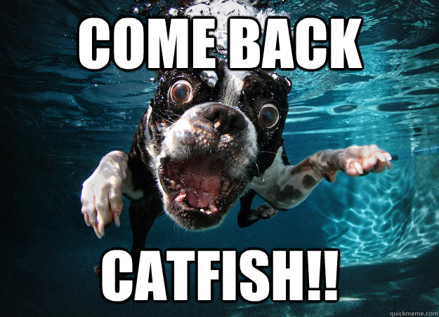 come back  catfish!! - come back  catfish!!  Misc