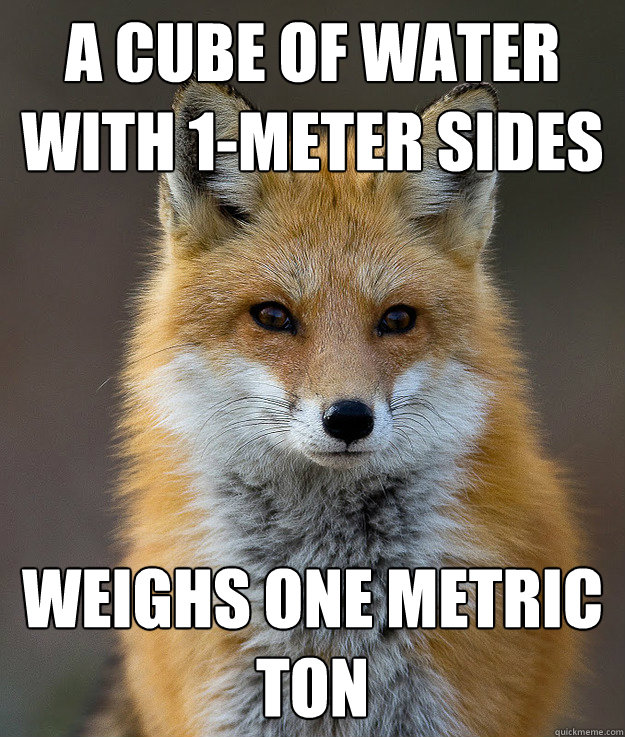 A cube of water with 1-meter sides weighs one metric ton  Fun Fact Fox