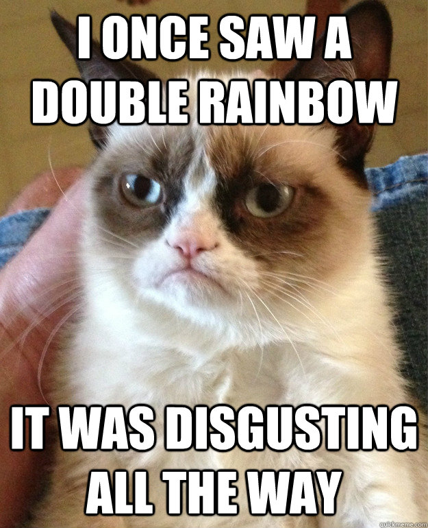 I ONCE SAW A DOUBLE RAINBOW IT WAS DISGUSTING ALL THE WAY - I ONCE SAW A DOUBLE RAINBOW IT WAS DISGUSTING ALL THE WAY  Grumpy Cat