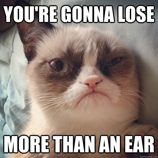 you're gonna lose more than an ear  Grumpy Cat