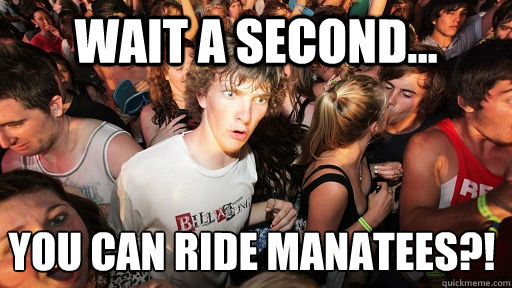 Wait a second... you can ride manatees?!  Sudden Clarity Clarence