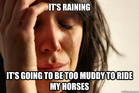 It's raining It's going to be too muddy to ride my horses  First World Problems