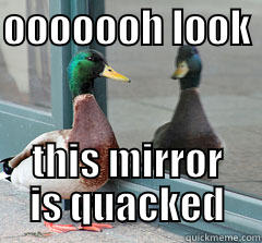 OOOOOOH LOOK  THIS MIRROR IS QUACKED Misc