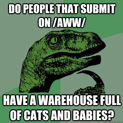 do people that submit on /aww/ have a warehouse full of cats and babies? - do people that submit on /aww/ have a warehouse full of cats and babies?  Philosoraptor