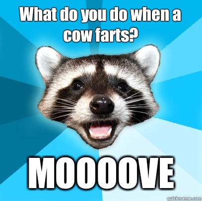 What do you do when a cow farts?  MOOOOVE  Lame Pun Coon