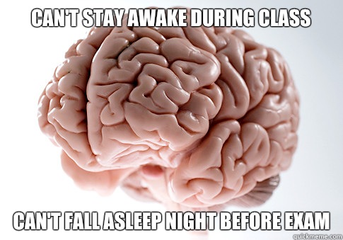 Can't stay awake during class Can't fall asleep night before exam  Scumbag Brain