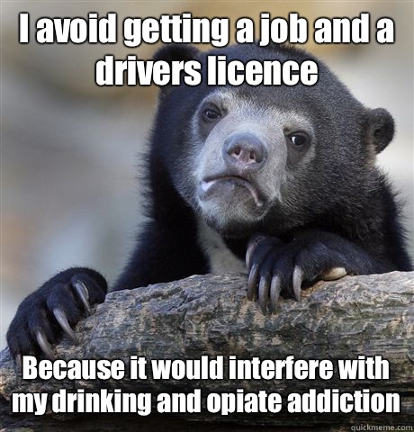 I avoid getting a job and a drivers licence Because it would interfere with my drinking and opiate addiction  Confession Bear