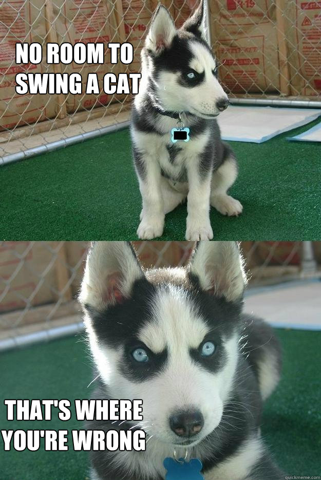 No room to
swing a cat That's where 
you're wrong  Insanity puppy