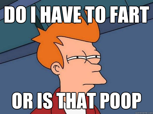 do i have to fart or is that poop - do i have to fart or is that poop  Futurama Fry