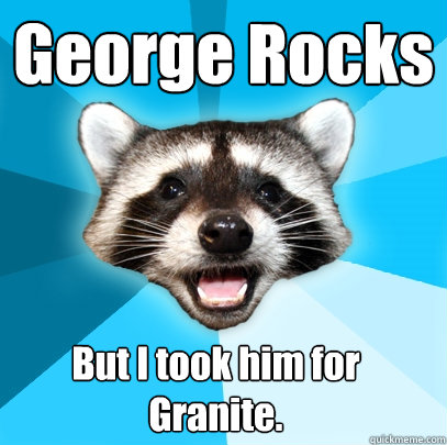 George Rocks But I took him for Granite. - George Rocks But I took him for Granite.  Lame Pun Coon