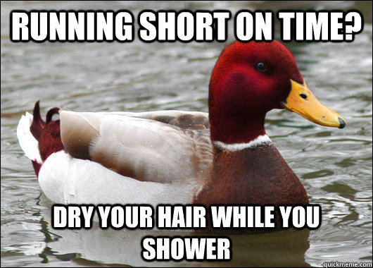 Running short on time? Dry your hair while you shower  Malicious Advice Mallard