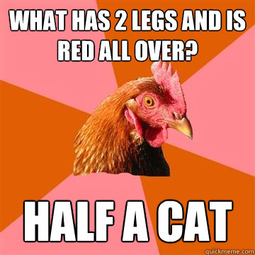what has 2 legs and is red all over? half a cat - what has 2 legs and is red all over? half a cat  Anti-Joke Chicken