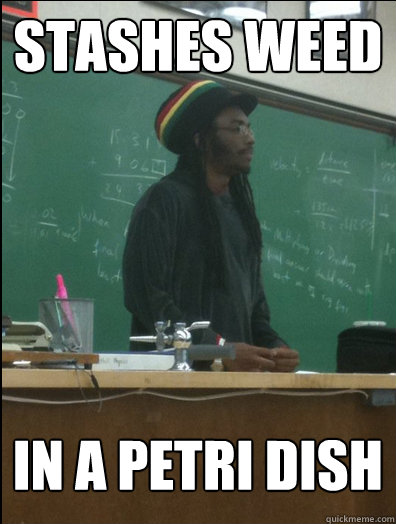 stashes weed In a petri dish - stashes weed In a petri dish  Rasta Science Teacher