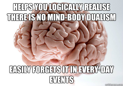 Helps you logically realise there is no mind-body dualism Easily forgets it in every-day events  Scumbag Brain