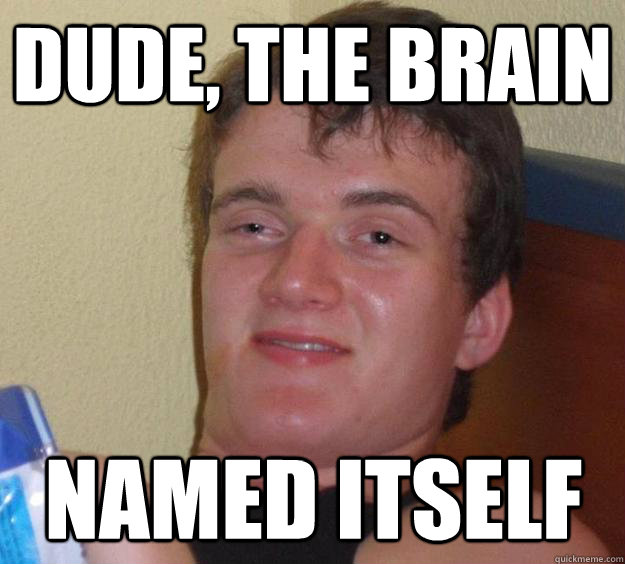 Dude, the brain Named itself  10 Guy