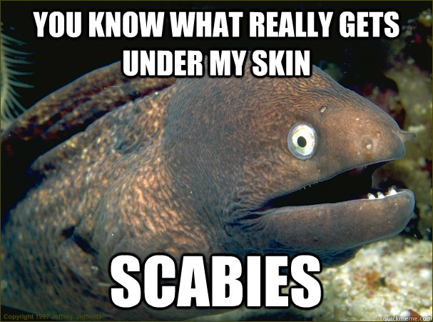 You know what really gets under my skin scabies  Bad Joke Eel