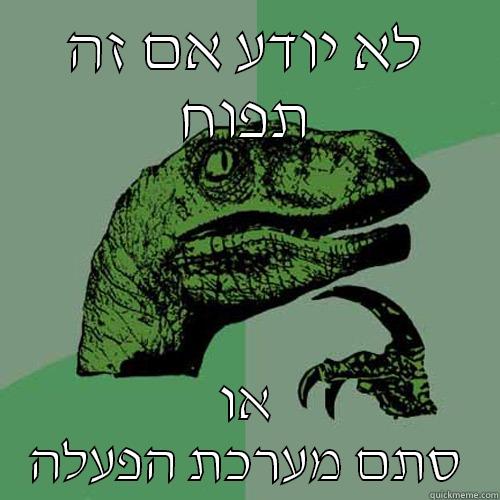 לא יודע כגע גכ או אכ - לא יודע אם זה תפוח או סתם מערכת הפעלה Philosoraptor