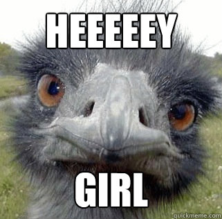 Heeeeey Girl - Heeeeey Girl  Seeing Ostrich