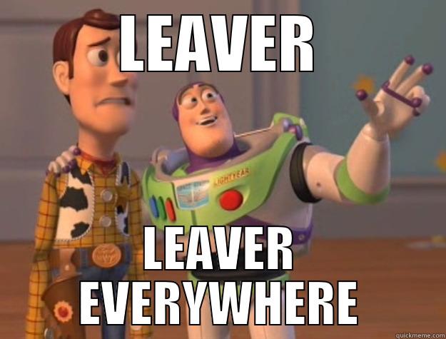 LEAVER LEAVER EVERYWHERE Toy Story