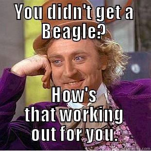 YOU DIDN'T GET A BEAGLE? HOW'S THAT WORKING OUT FOR YOU. Condescending Wonka